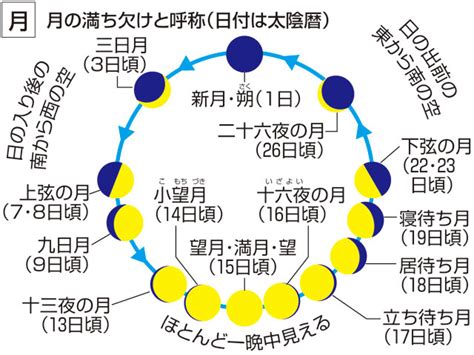 右後 読み方|「うしろ」の意味や使い方 わかりやすく解説 Weblio辞書